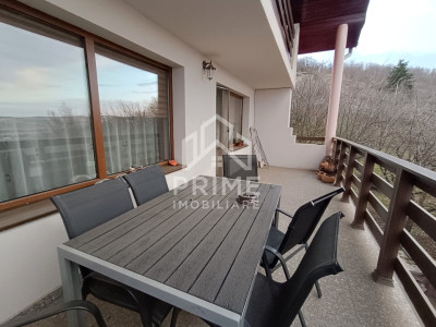 Case de vanzare Alba Iulia Micesti imagine mica 4