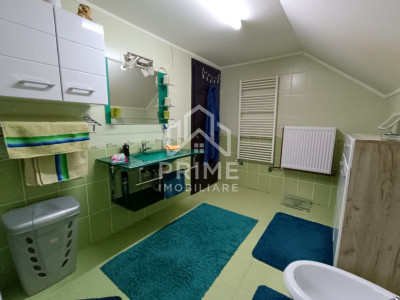 Case de vanzare Alba Iulia Micesti imagine mica 11