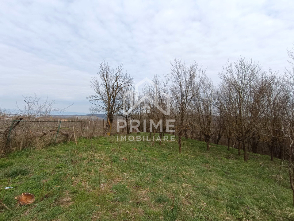 Terenuri de vanzare Straja 2