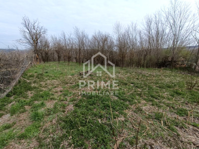 Teren intravilan 1295 mp | Deschidere 29 ml | Panoramă | Straja