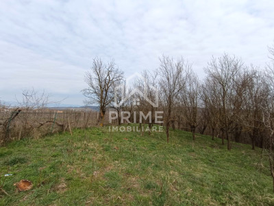 Terenuri de vanzare Straja imagine mica 2