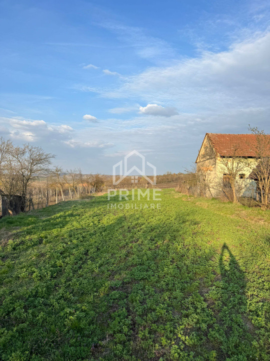 Terenuri de vanzare Henig Central 1