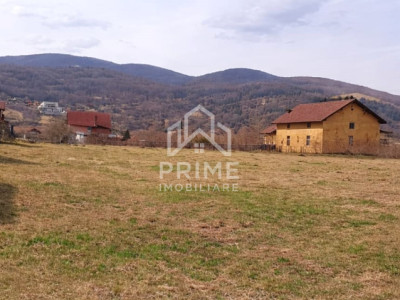 Teren intravilan 1385 mp | Toate utilitățile | Zonă liniștită Micești