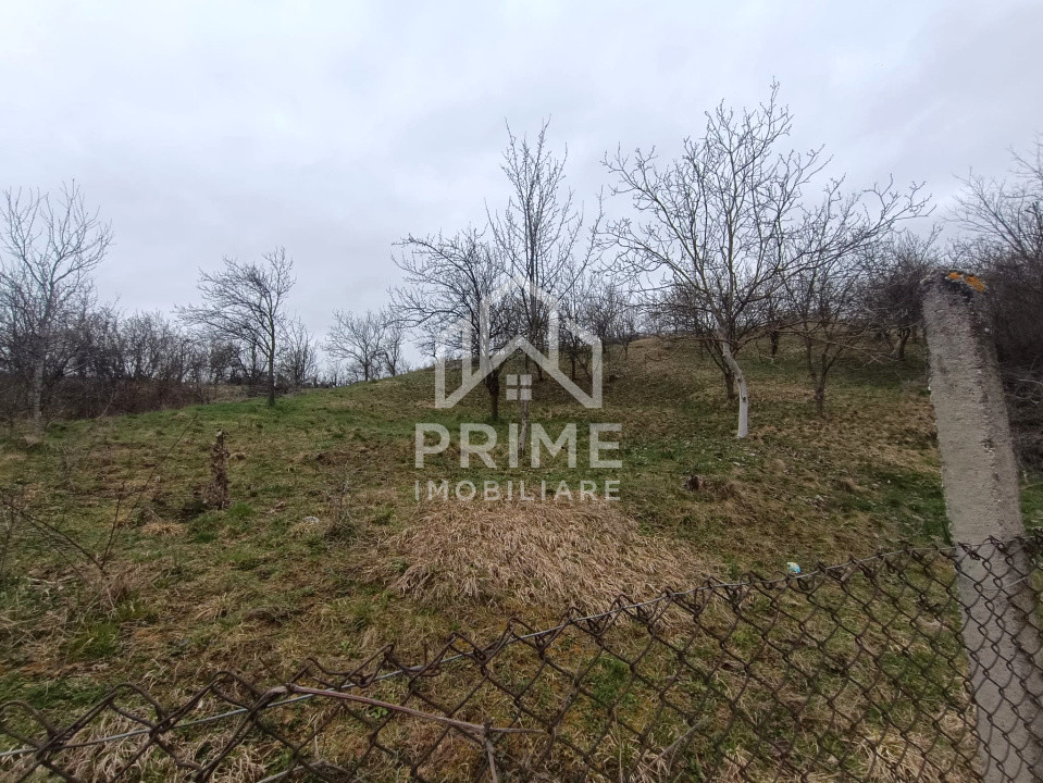 Case de vanzare Tibru 4