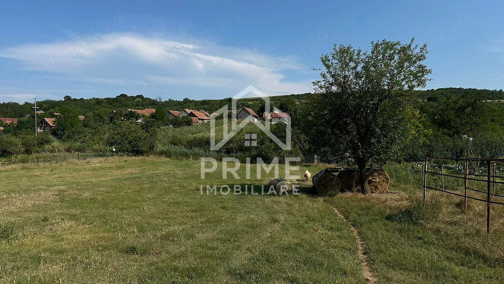 Terenuri de vanzare Henig 1