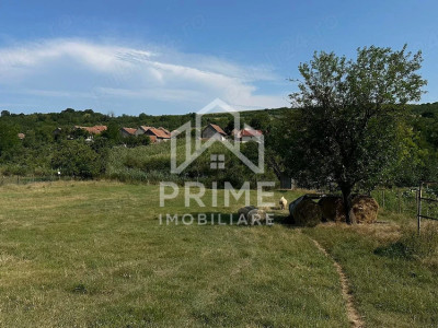 Teren Intravilan 3.664 mp| zona Henig 