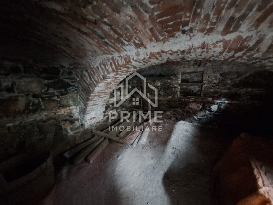 Case de vanzare Vinerea Central 6