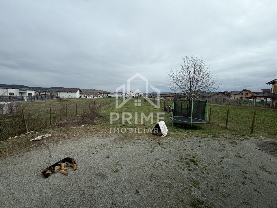 Case de vanzare Alba Iulia Micesti 11