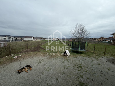 Case de vanzare Alba Iulia Micesti imagine mica 11