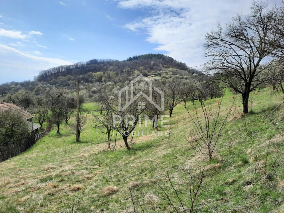 Terenuri de vanzare Inuri 1