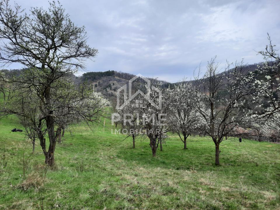 Terenuri de vanzare Inuri 2