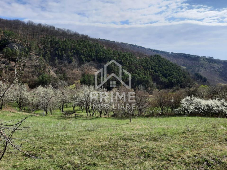 Terenuri de vanzare Inuri 3