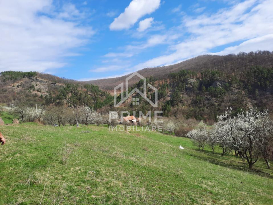 Terenuri de vanzare Inuri 4