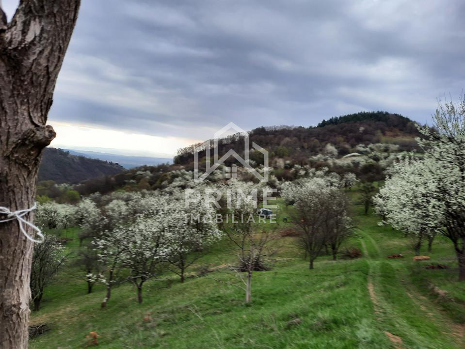 Terenuri de vanzare Inuri 5