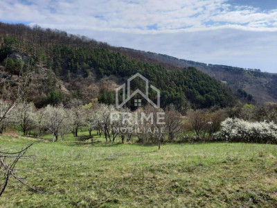 Terenuri de vanzare Inuri imagine mica 3