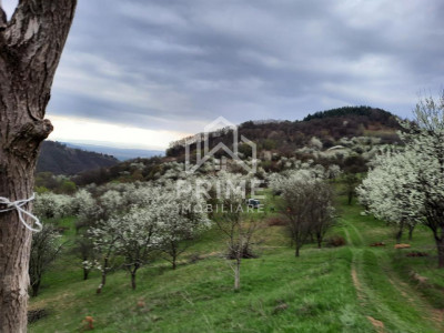 Terenuri de vanzare Inuri imagine mica 5